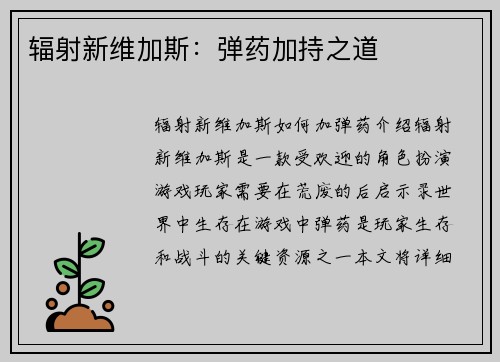 辐射新维加斯：弹药加持之道